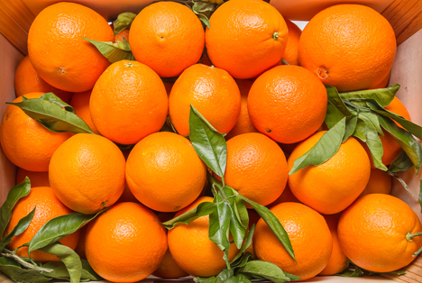 AMI: Angebot an spanischen Orangen wächst