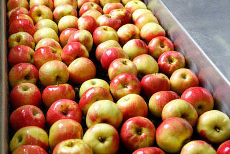 Handel mit Frisch-Äpfeln in Georgien: Weniger Importe, gleiche Exporte