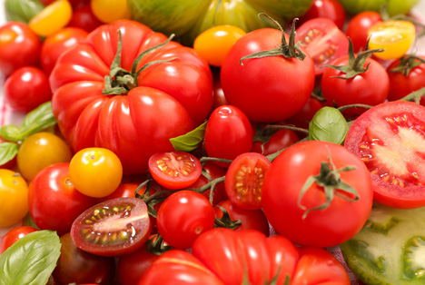 Carrefour Spanien engagiert sich für lokale Tomatenerzeuger