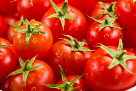 BLE: 27,2 kg pro Person - Tomaten weiterhin sehr beliebt