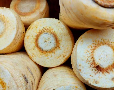 Schweiz: Pastinake wieder im Trend - Winterwurzel mit feiner Süsse