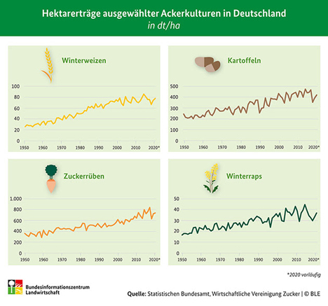 Infografik: Hektarerträge ausgewählter Ackerkulturen. Foto © BLE