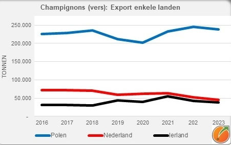 Chamignons Export Niederlande