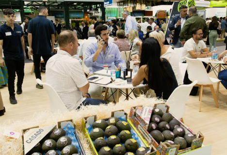 Die Avocado – das Star-Produkt bei der nächsten Ausgabe der Fruit Attraction