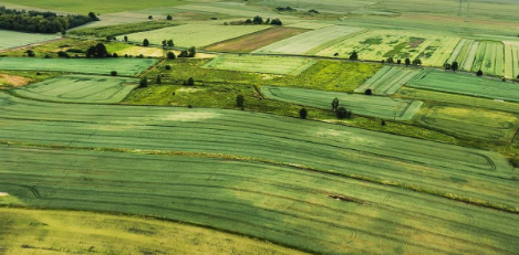 GAP-Regeln ab 2025 : „Landwirte brauchen im August Gewissheit“