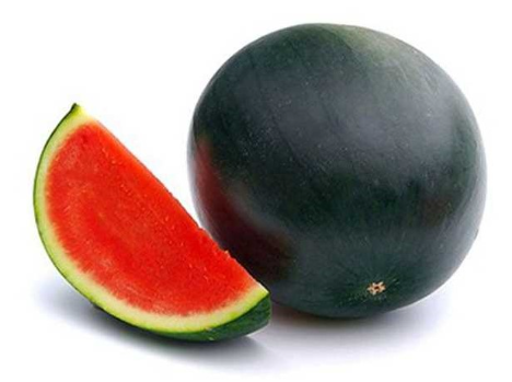 Proexport: Region Murcia exportiert 49 % der spanischen Melonenproduktion