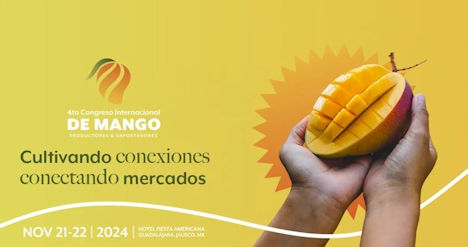 Mango Kongress 2024