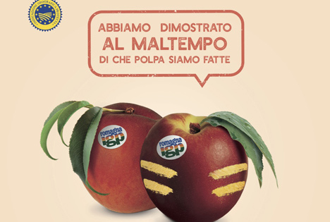 CSO Italy: Neue Kommunikationskampagne für Pfirsiche und Nektarinen von Romagna IGP