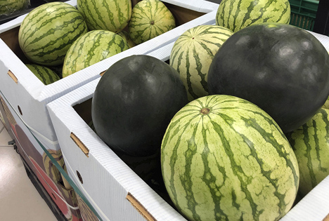 Spanische Supermarktkette kauft mehr als 97.500 Tonnen Wassermelonen nationalen Ursprungs