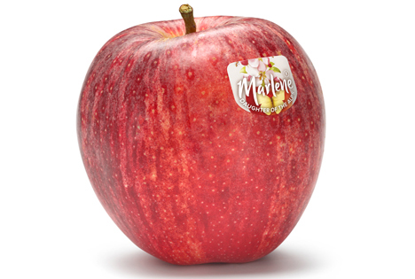Apfel Schlüsselanhänger Obst Äpfel Gesund Frucht Früchte Miniblings  Anhänger Rot