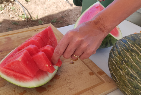 Spanien: Erzeuger freuen sich über Verbesserung bei Melonen- und Wassermelonenproduktion und -konsum