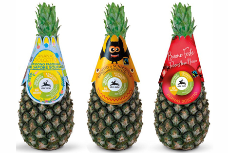 Pineapple Dolcetto: Erste positive Bilanz